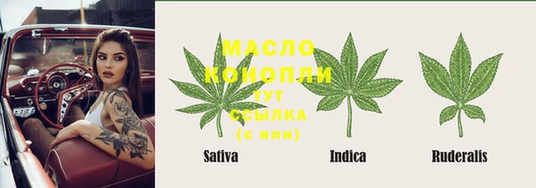 apvp Аркадак