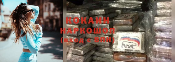стафф Армянск